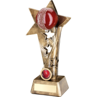Coloured Cricket ball on star stand trophy - 3 sizes