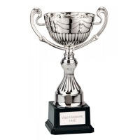 Endeavour Silver Cup - 4 sizes