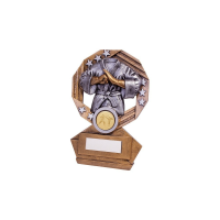 Enigma Karate Award - 3 Sizes