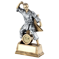 Female Martial Arts Two Tone Award - 3 Sizes