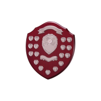 Large Annual Wooden Shield  - 17 Year