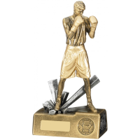 Male Boxing Figure Trophy - 185mm