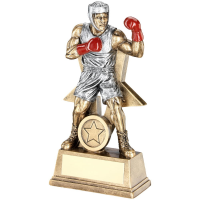 Male Boxing Two Tone Award - 3 Sizes