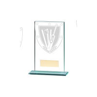 Millennium Glass Cricket Award - 5 sizes