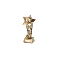 Netball Gold Star Award - 3 Sizes