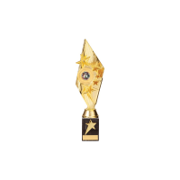 Pizzazz Gold Awards - 8 colours / 5 sizes