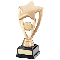 Resin Star Award on black base - 3 sizes