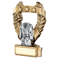Suppliers Of 2 Tone Martial Arts Award - 3 Sizes In Hertfordshire