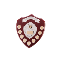 Suppliers Of Annual wooden shield Award - 7 or 9 years In Hertfordshire