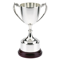 Suppliers Of Elegant Silver Plated Cup - 3 sizes In Hertfordshire