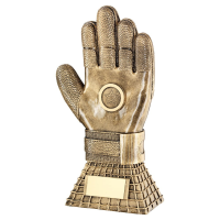 Suppliers Of Football Goalie Glove Trophy - 255mm In Hertfordshire