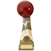 Suppliers Of Forza Cricket Ball Award - 3 sizes In Hertfordshire