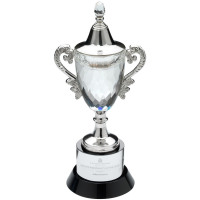 Suppliers Of Glass Cup Award - 3 sizes In Hertfordshire