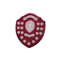 Suppliers Of Large Annual Wooden Shield  - 17 Year In Hertfordshire