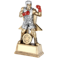 Suppliers Of Male Boxing Two Tone Award - 3 Sizes In Hertfordshire