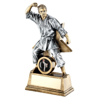 Suppliers Of Male Martial Arts Two Tone Award - 3 Sizes In Hertfordshire