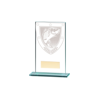 Suppliers Of Millennium Glass Fishing Award - 5 sizes In Hertfordshire