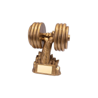 Suppliers Of Power Weightlifting Award - 170mm In Hertfordshire