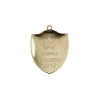 Suppliers Of Prestige Shield Medal -  Gold,Silver,Bronze - 72mm In Hertfordshire