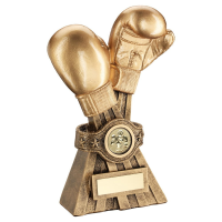 Suppliers Of Resin Boxing Gloves Award - 3 sizes In Hertfordshire