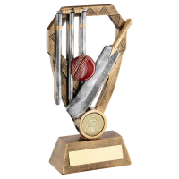 Suppliers Of Resin Cricket Award - 3 Sizes In Hertfordshire