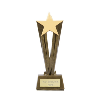 Suppliers Of Shooting Star Trophy - 5 sizes In Hertfordshire