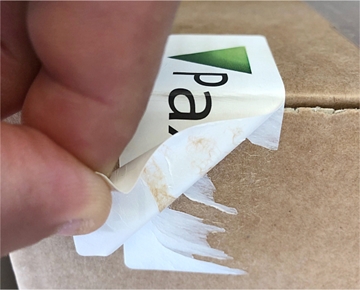 Tamper Resistant Security Labels