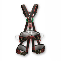 Sofamel S/ATC Safety Harness with Belt