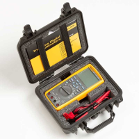 Fluke CXT280 Extreme Case