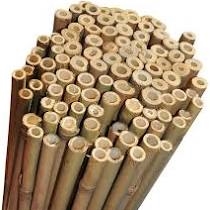 Canes Bamboo 6ft 125pc