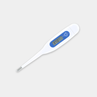 Digital Thermometer Eco Rigid UK