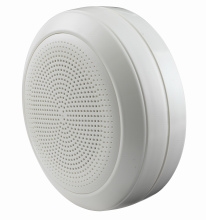 6W Plastic Circular Surface Mount Cabinet Speaker