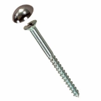 Mirror Screw 38mm Polished Chrome Pack of 4