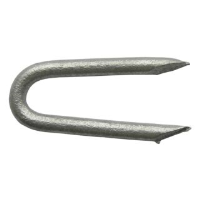 15mm Galvanized Staples 0.25kg