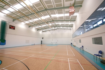 Acoustic Panel For Sports Hall