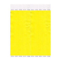 Yellow Tyvek 19mm Wristbands