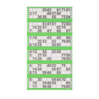 Jumbo Bingo Ticket Singles, 6 to View Pack, Green