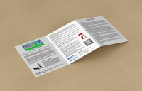 Folded Flyer Printing (A4 Tri-Fold) Glastonbury