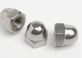 Stainless Steel Fine Thread Hexagon Domed Nuts