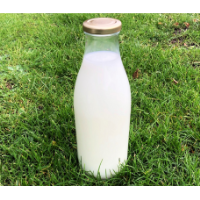 1000ml Glass Milk Bottles with RTO cap
