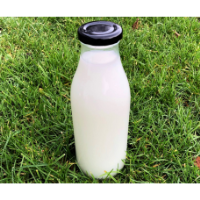 500ml Glass Milk Bottles with RTO cap