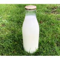 1000ml Glass Milk Bottles with RTO cap x 15