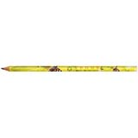 BIC&#174; Evolution Classic Cut End Digital Ecolutions&#174; Pencil