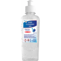 Branded Hand Sanitiser 250ml