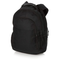 Journey 15'' laptop backpack