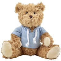 Plush teddy bear with hoodie