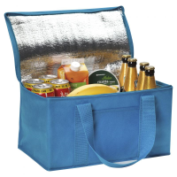 Rainham 12 Can Cooler Bag