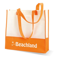 Shopping or beach bag