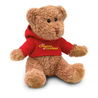 Teddy bear plus with t-shirt