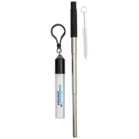 Zeya reusable stainless steel straw keychain